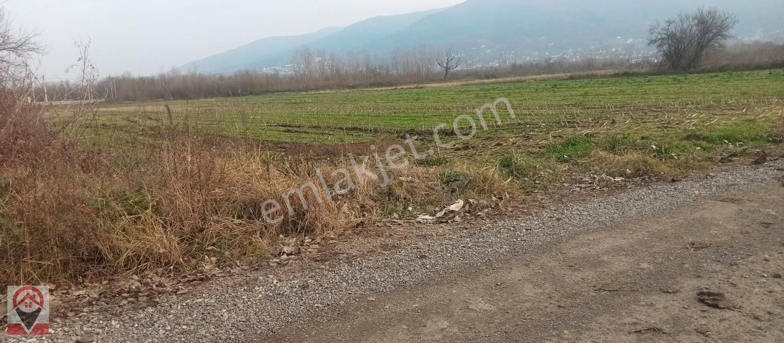 Kocaeli Kartepe Suadiye De Kuloğlu Emlak Inş Dan Satılık Tarla - Görsel 3