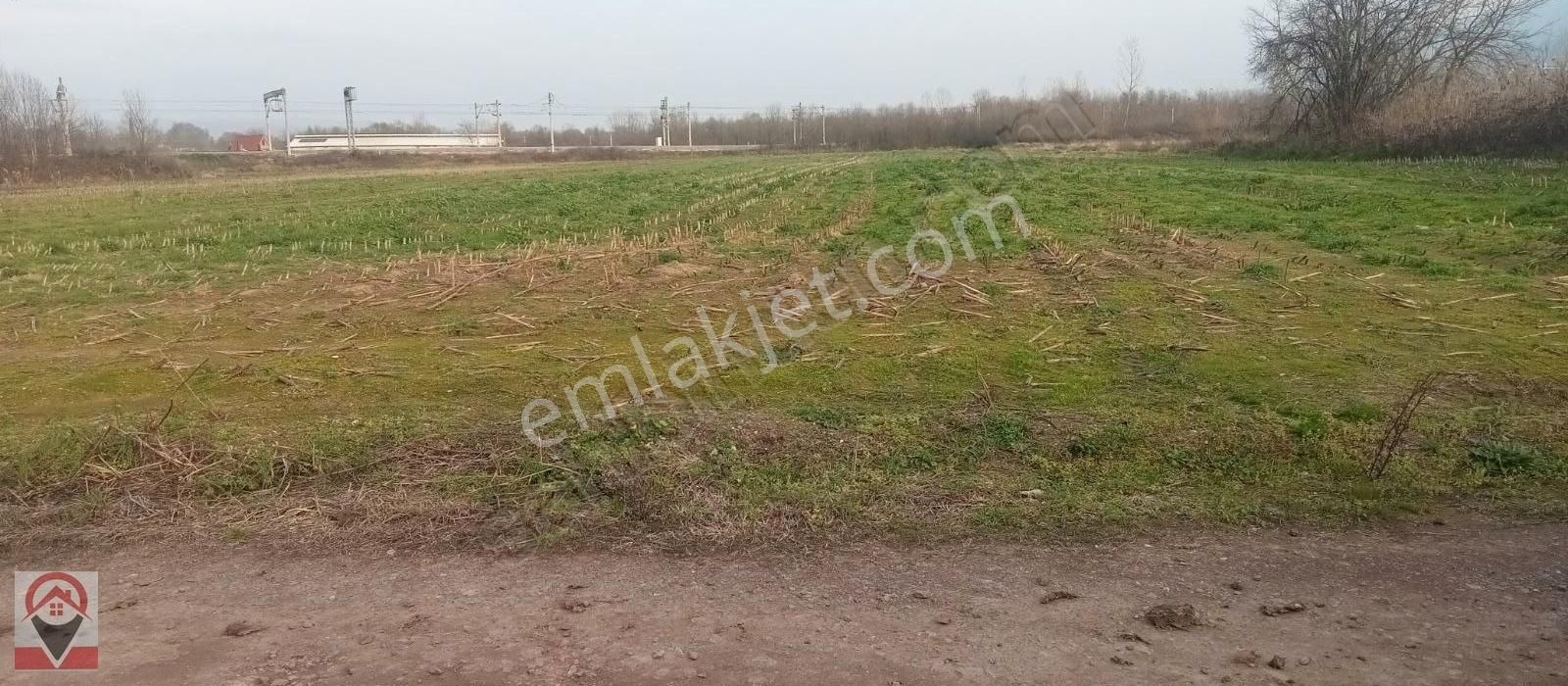 Kocaeli Kartepe Suadiye De Kuloğlu Emlak Inş Dan Satılık Tarla - Görsel 2