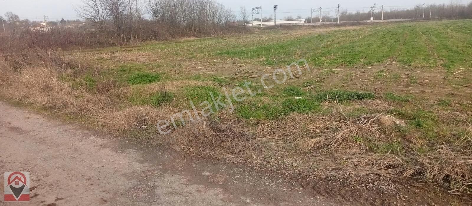 Kocaeli Kartepe Suadiye De Kuloğlu Emlak Inş Dan Satılık Tarla - Görsel 16