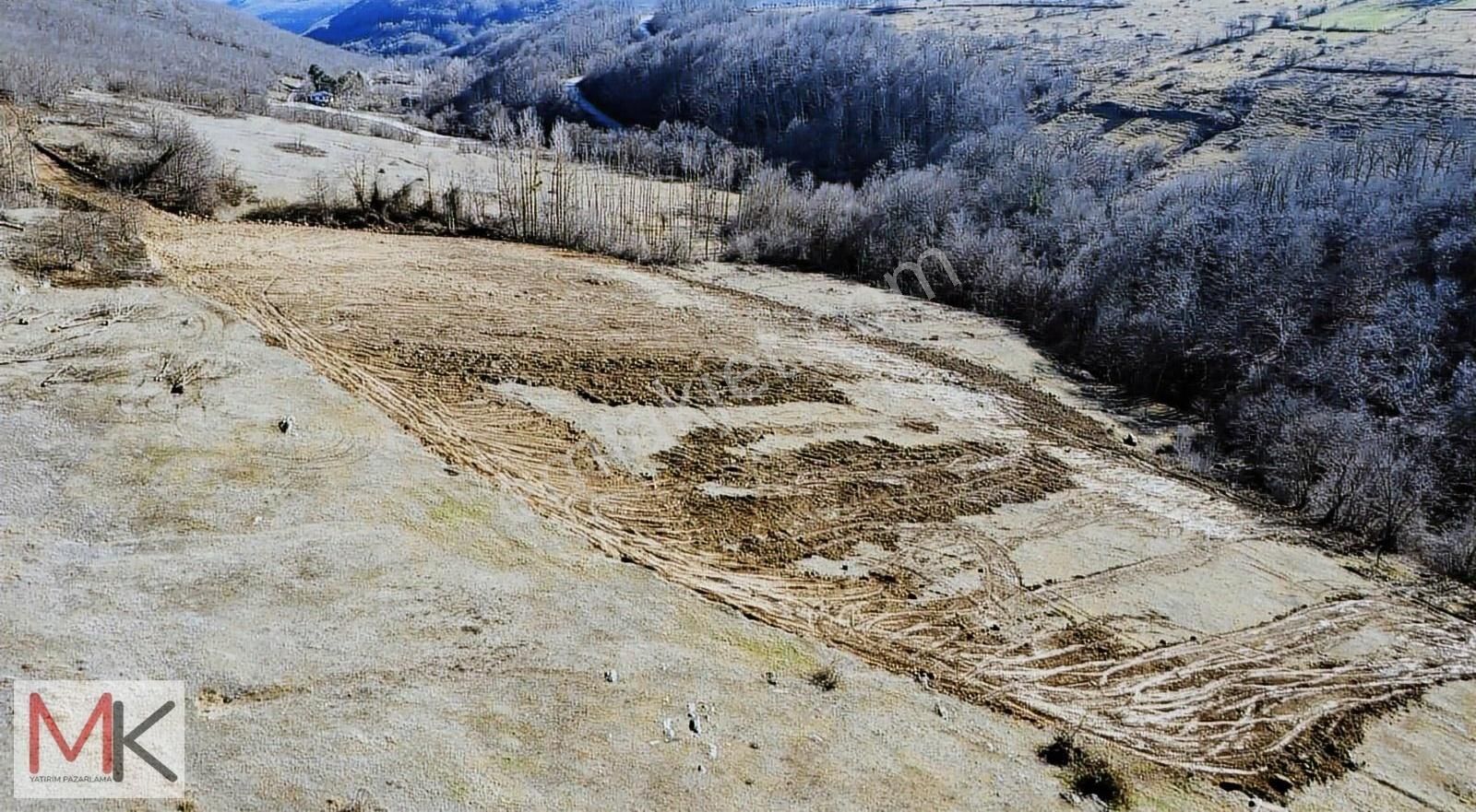 Kavak Çalbaşı Satılık Tarla Çakallı'da Satılık Ticari Faliyetlereuygun 20564m2 Tarla