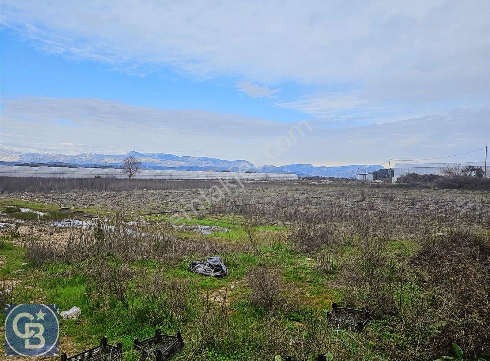 Manavgat Ilıca Satılık Tarla Yeniköyde Satılık Tarla