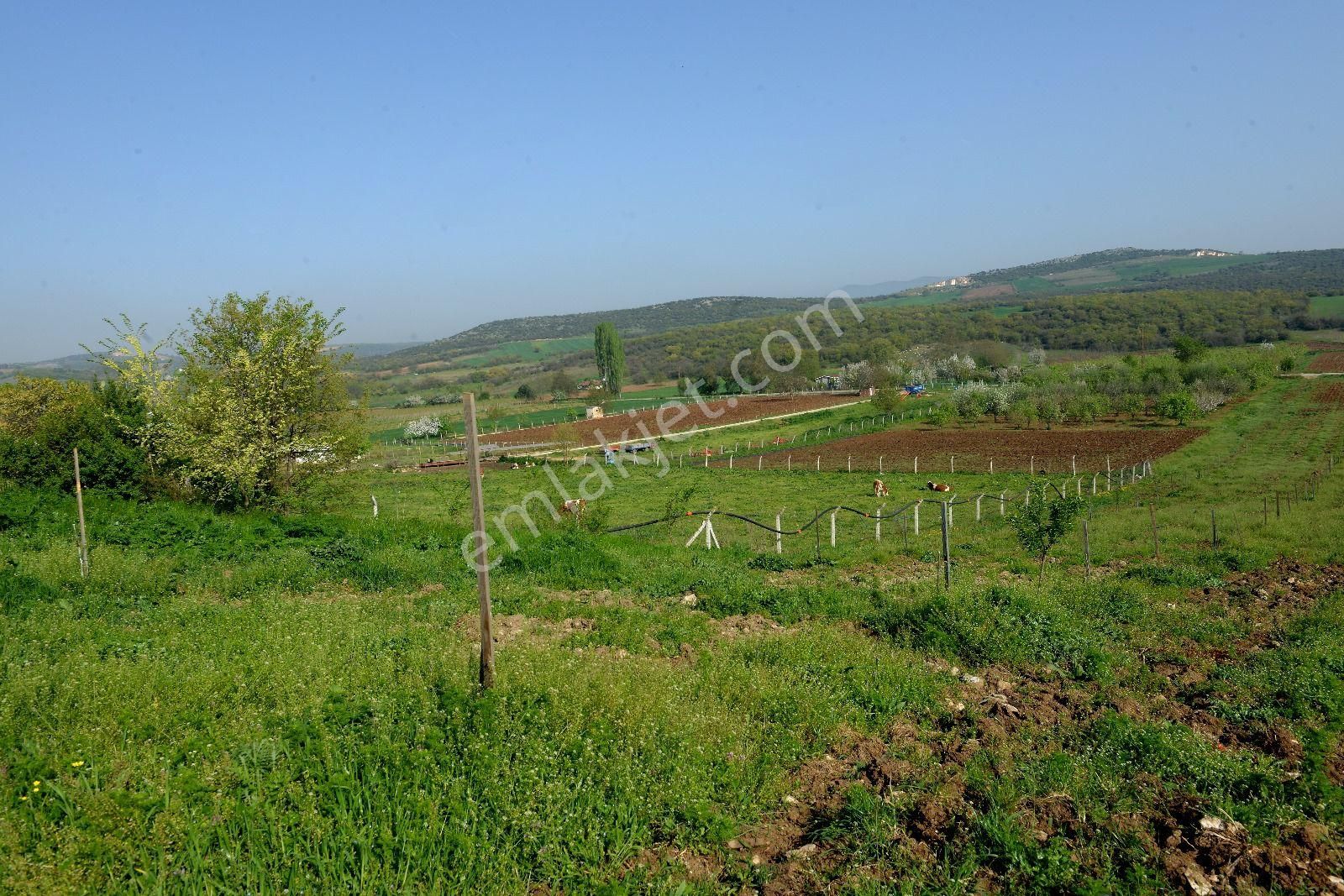 Acil Fiyat Düştü Satılık Çiftlik - Görsel 2