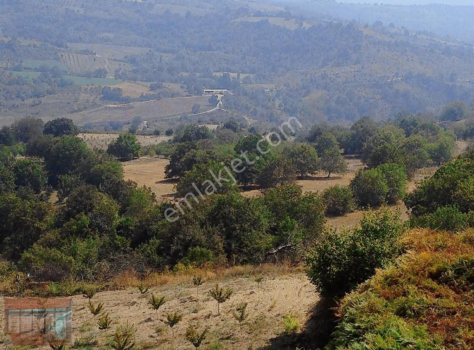İnegöl De Maden Köy Acil Satılık 7300 M2 Tarla . - Görsel 4