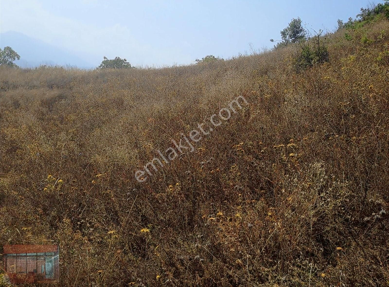 İnegöl De Maden Köy Acil Satılık 7300 M2 Tarla . - Görsel 5