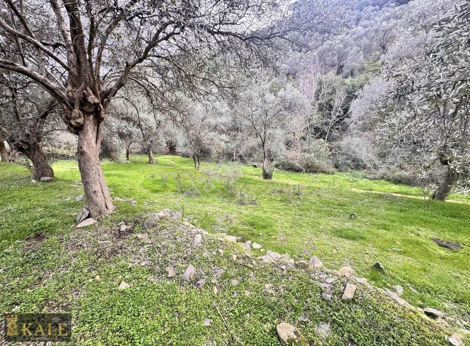 Bayındır Dereköy Satılık Villa İmarlı Kale'den Dereköy Ilıcalar'da Yol Kenarı Eşsiz Ve Emsalsiz Arsa