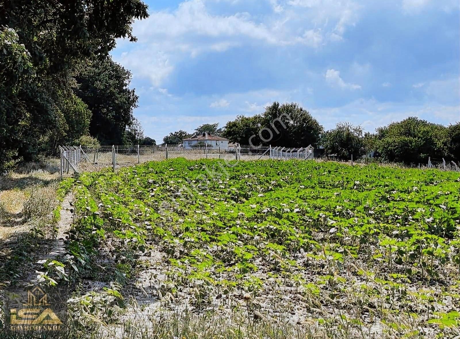 Silivri Bekirli Satılık Tarla İsa Gayrimenkulden Bekirli Köy İçi