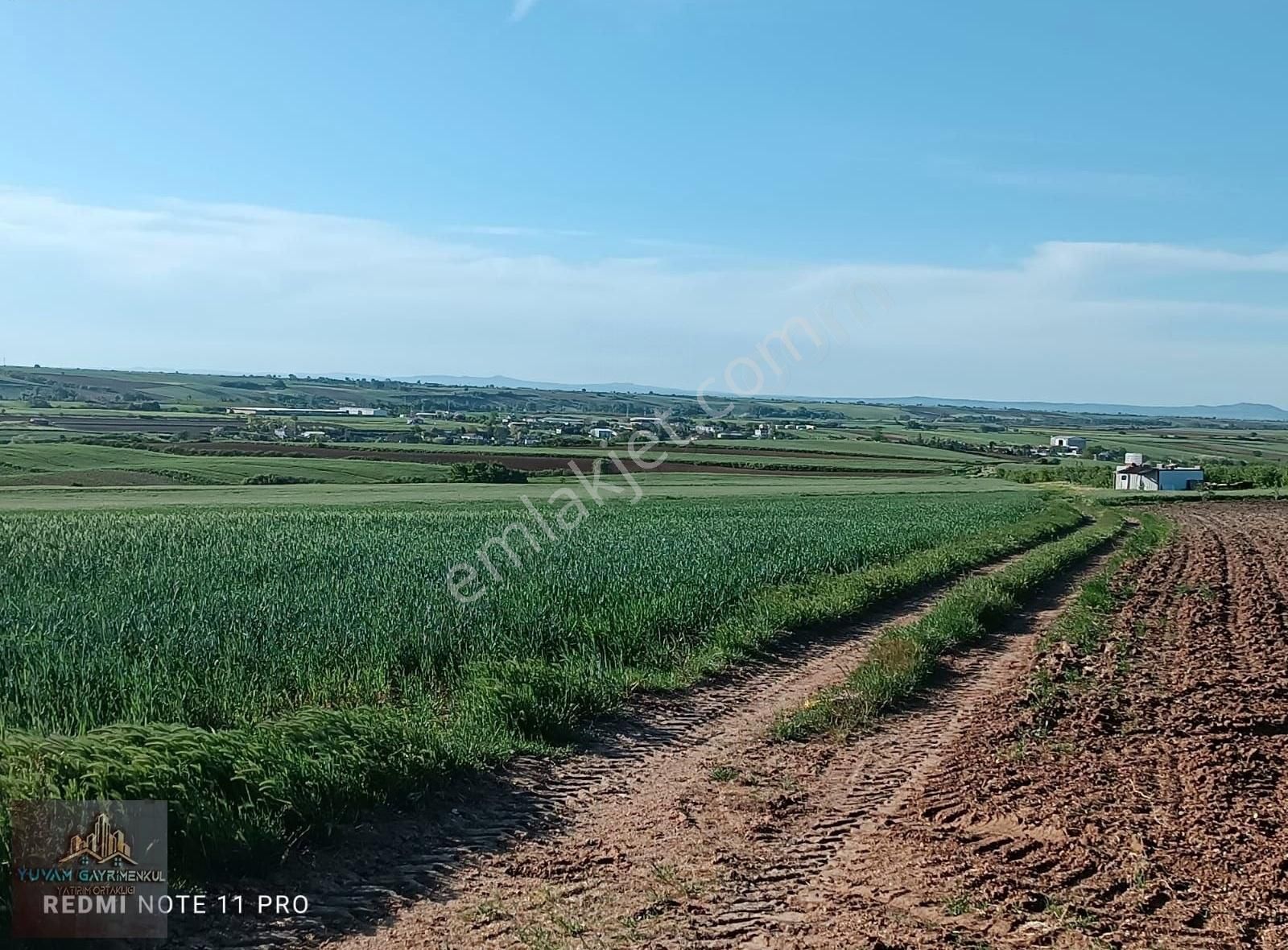 Babaeski Yenimahalle Köyü Satılık Bağ & Bahçe 1250 M2 Kırklareli Babaeski'ye 10 Dakika Ve Hızlı Trene Yakın