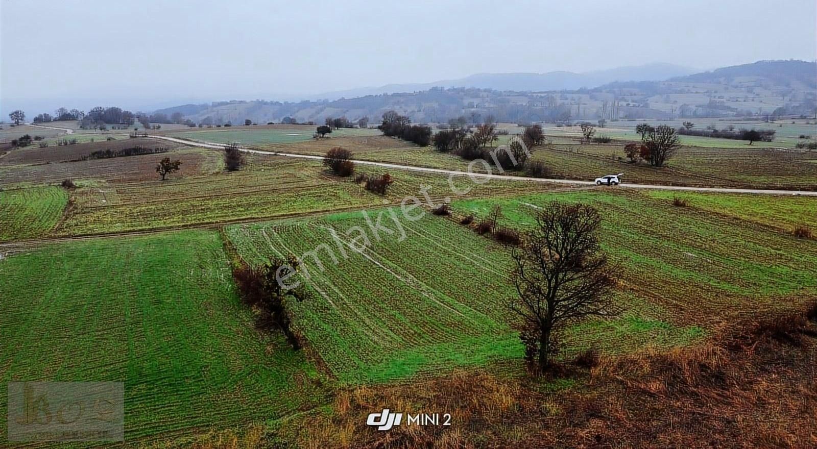 Biga Kozçeşme Köyü Satılık Tarla Çanakkale-biga-kozçeşme Köy Mevki- 2 Tarlamız- Satılıktır