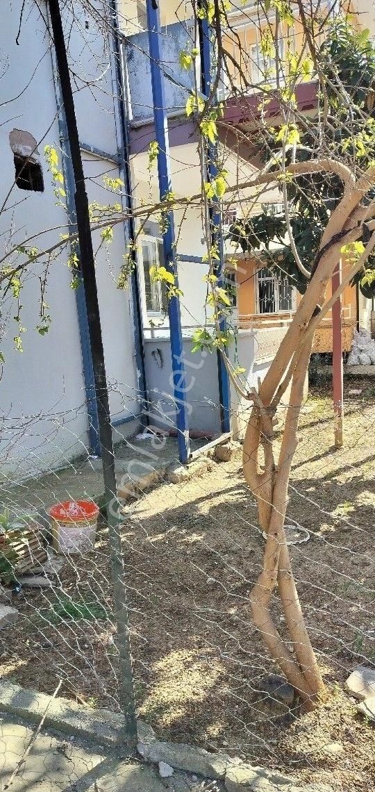 Hatipler De Komple Bina - Görsel 3