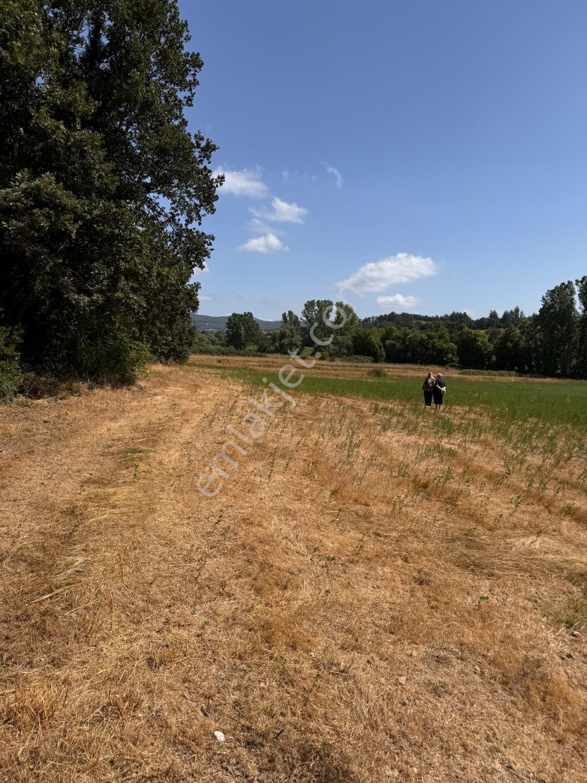 Yenice Karabey Köyü Satılık Tarla Cemre Emlaktan Yenice Karabey Köyünde 4089 M2 Tarla Arazisi