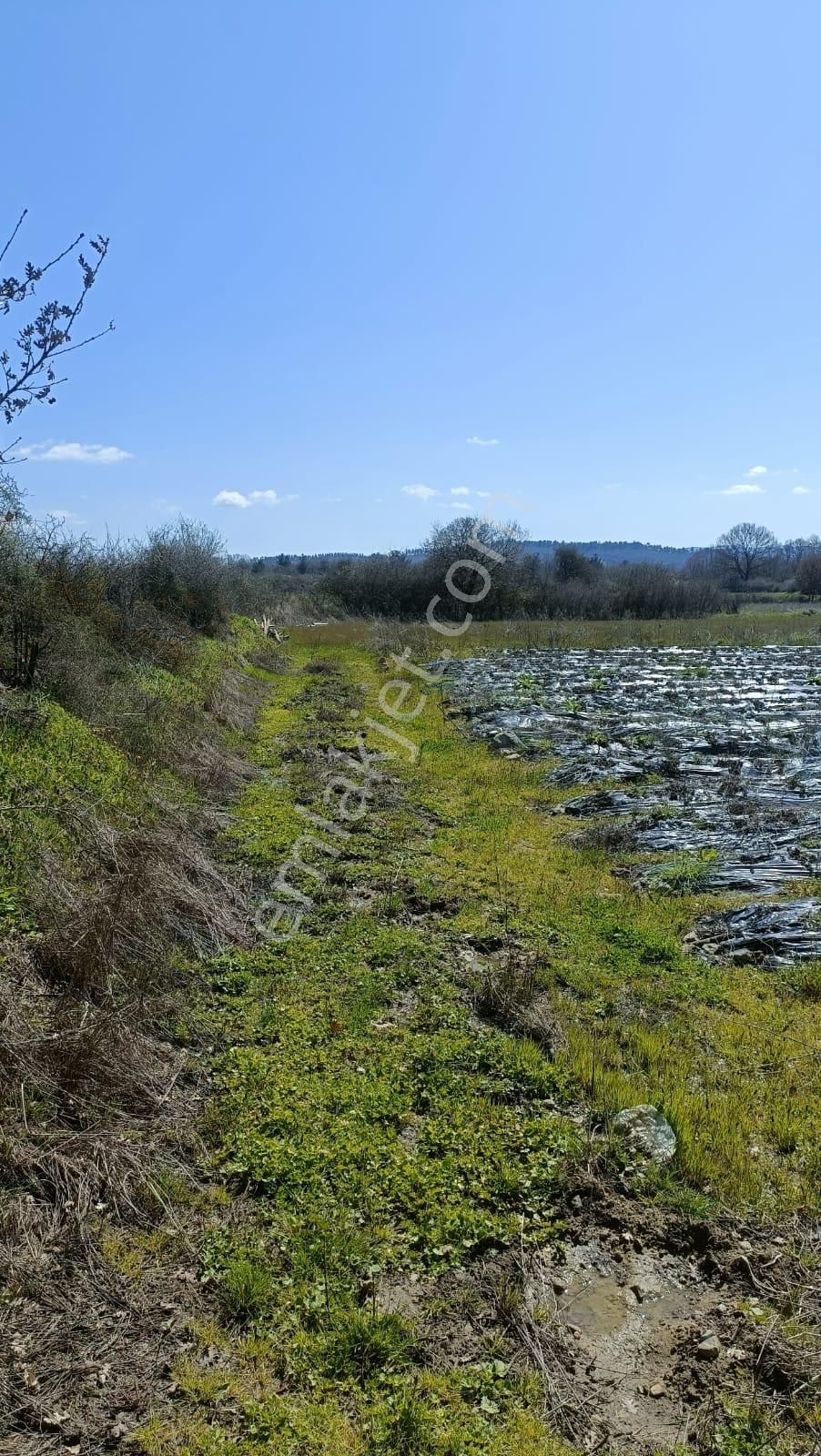 Yenice Ahiler Köyü Satılık Tarla Cemre Emlaktan Yenice Ahiler Köyünde 3258 M2 Tarla Arazisi