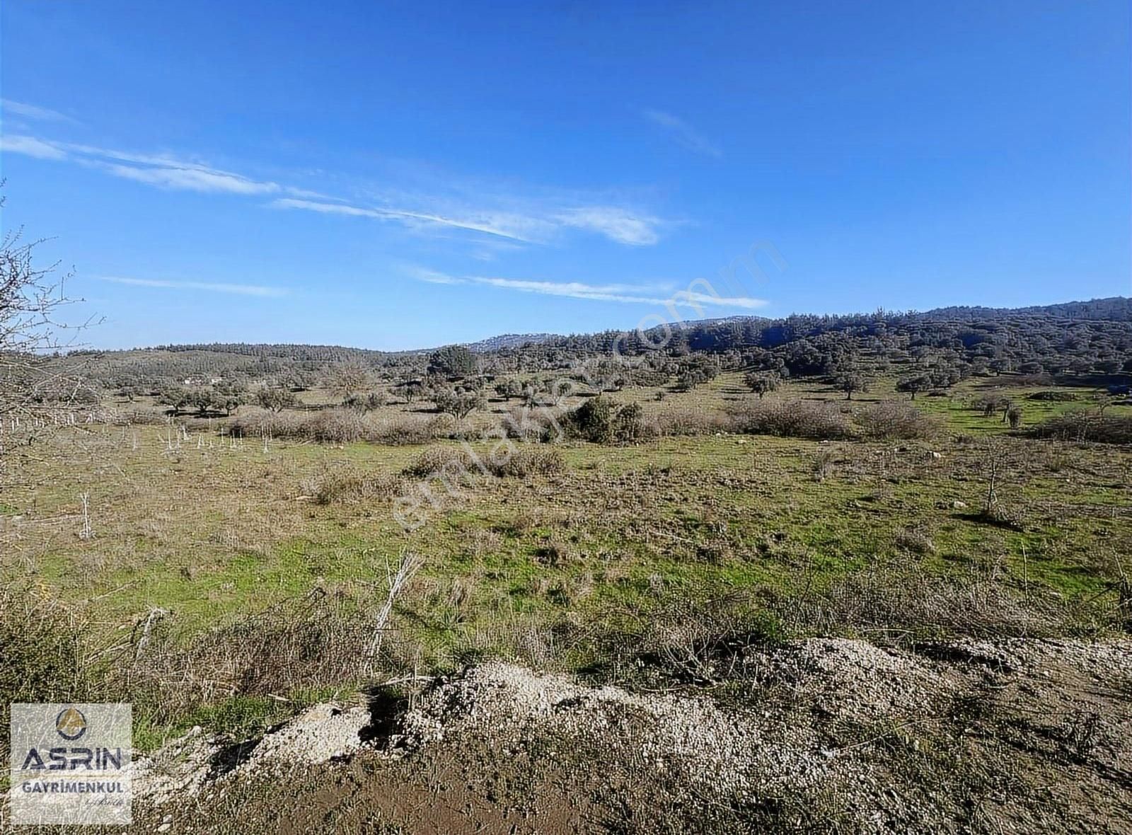 Selçuk Atatürk Satılık Tarla Selçuk Arvalya Bölgesi 12600 Metre Kare Tarla