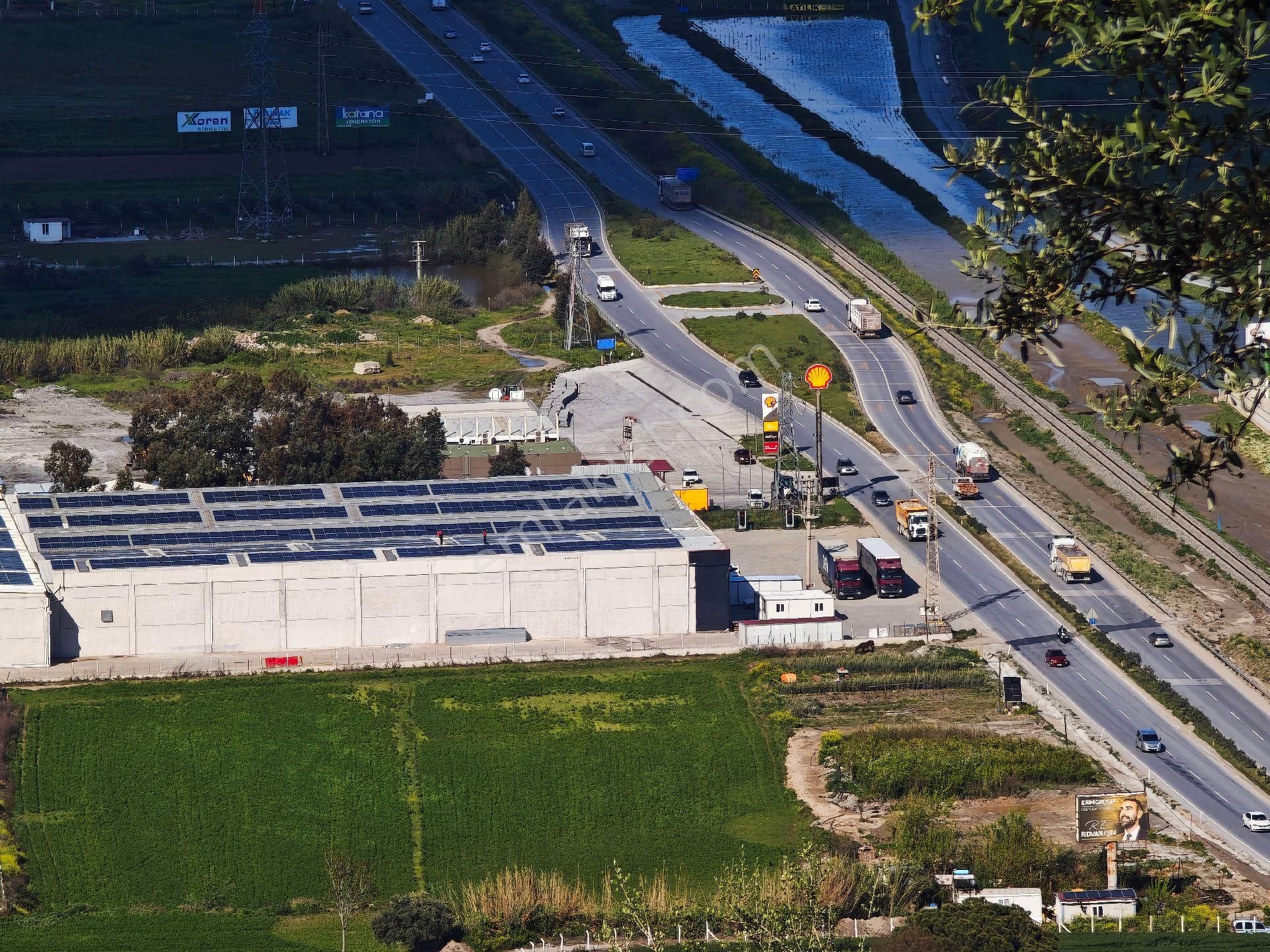 Satılık Yatırımlık Zeytinlik - Görsel 11
