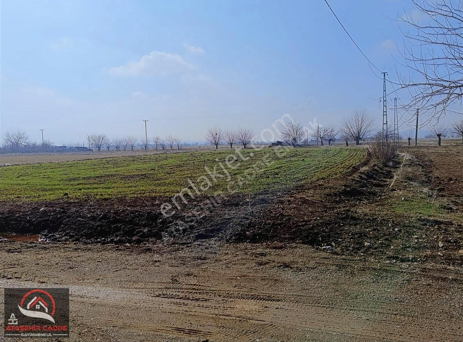 Elazığ Merkez Gözebaşı Köyü (Yeşilyurt) Satılık Tarla [acg] Gözebaşı' Nda Satılık Bahçelik Tarla