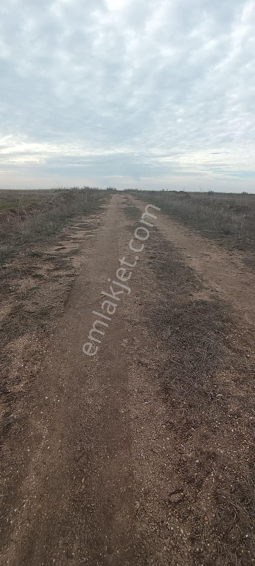 Edirne Havsa Köseömerde 2.284 M2 Yatırımlık Tarla.. - Görsel 16