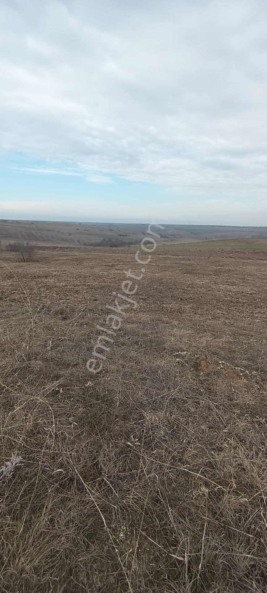 Edirne Havsa Köseömerde 2.284 M2 Yatırımlık Tarla.. - Görsel 11