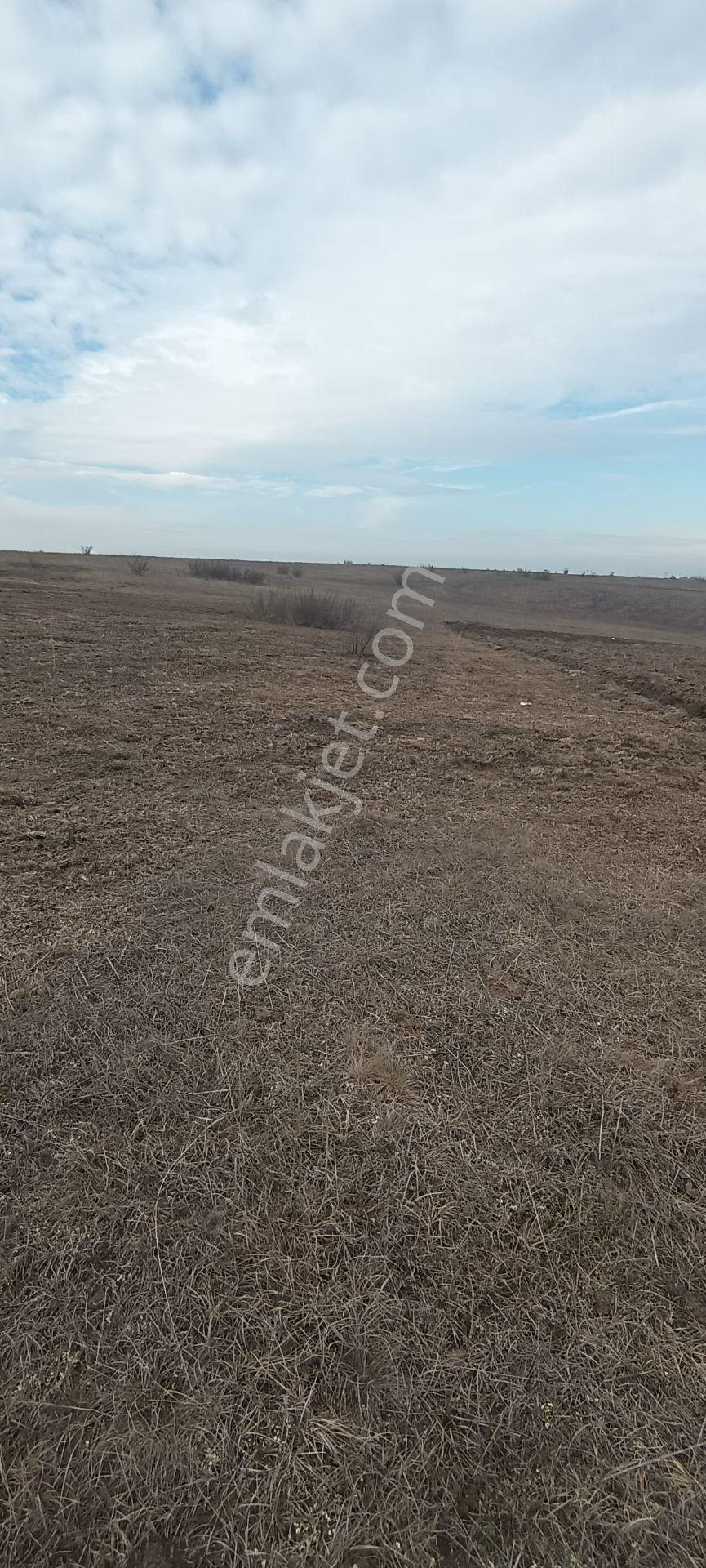 Edirne Havsa Köseömerde 2.284 M2 Yatırımlık Tarla.. - Görsel 14