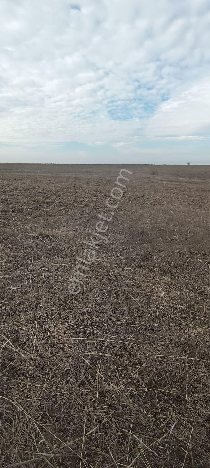 Edirne Havsa Köseömerde 2.284 M2 Yatırımlık Tarla.. - Görsel 3