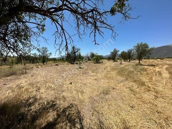 İncirya Emlakdan Acıpayam Yassıhüyük'de 730m2 Hobi Bahçesi