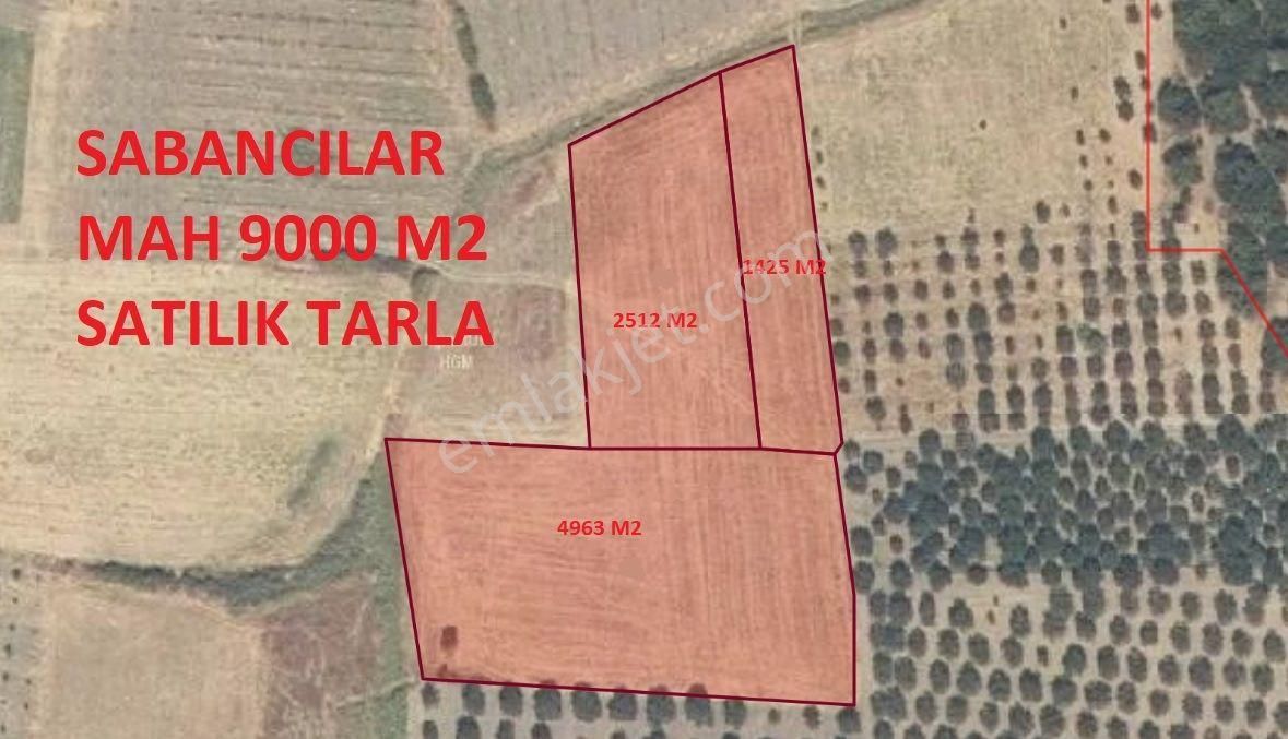 Akhisar Sabancılar Satılık Tarla Sabancılar Mah 9000 M2 Verimli Tarım Arazisi (emin'den)