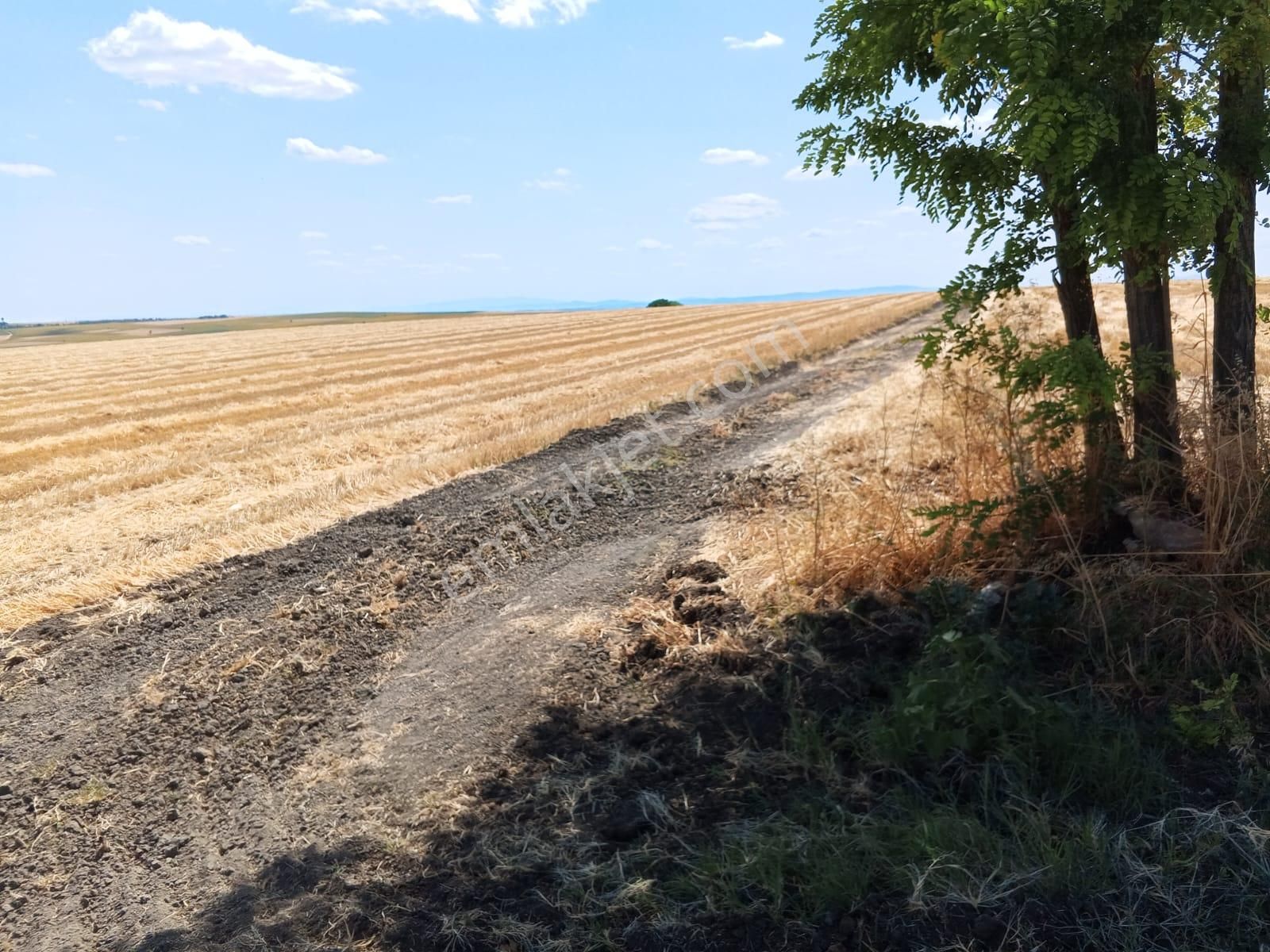 Edirne Merkez Sarayakpınar Köyü Satılık Tarla Edirne Merkez'de Verimli Geniş Arazi