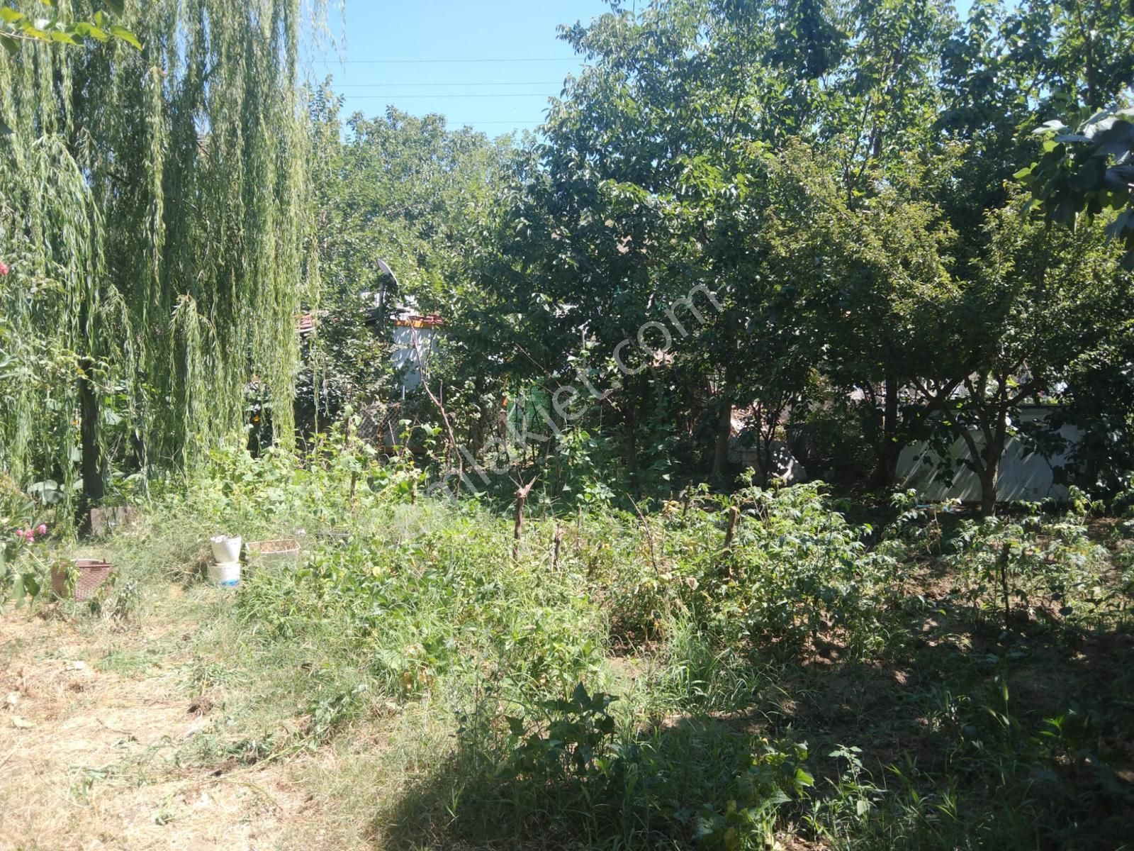 Dağyenice'de Fırsat Hobievli Bahçe..... - Görsel 20