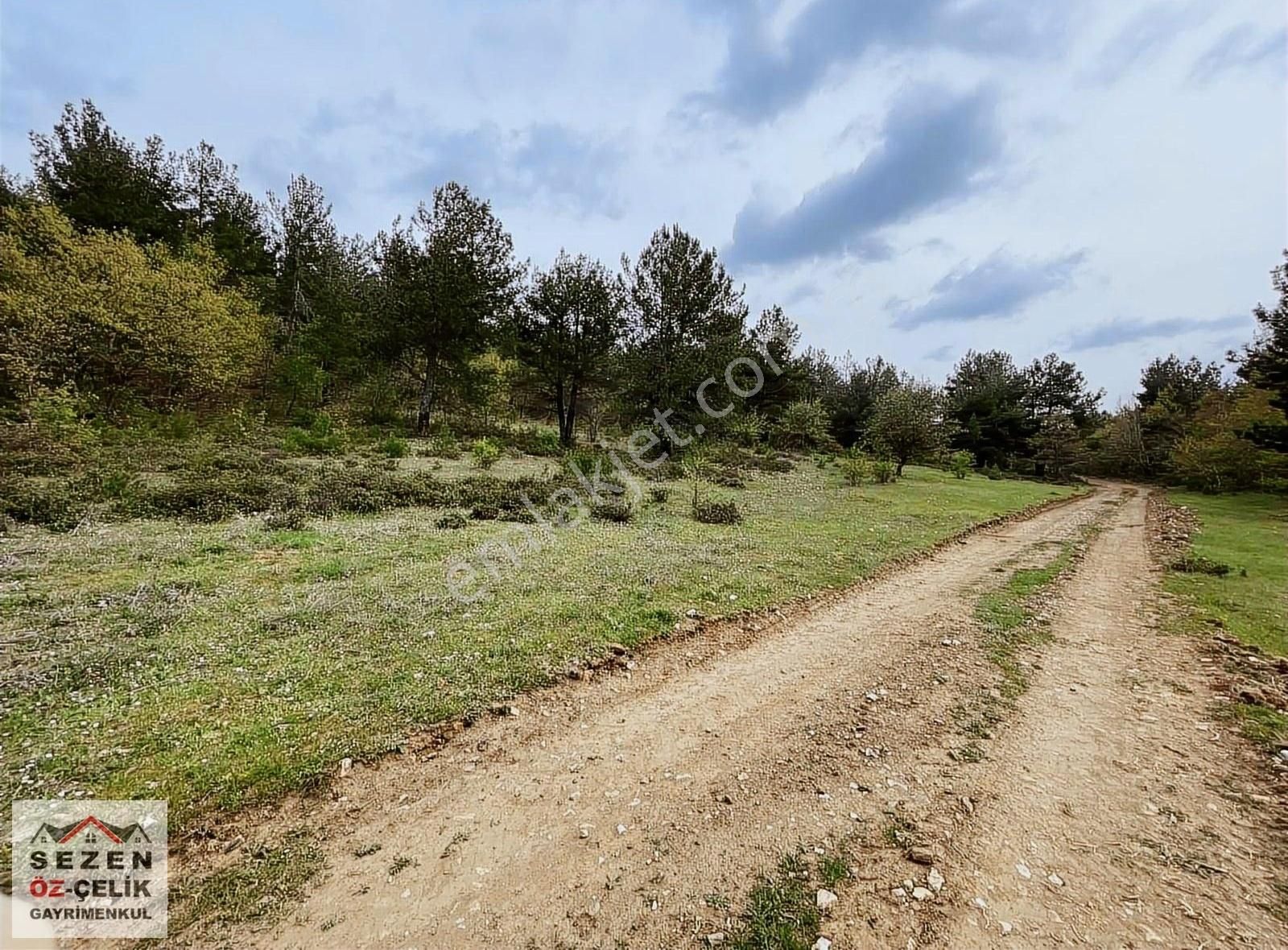 Çanakkale Merkez Salihler Köyü Satılık Tarla Çanakkale Salihler Köyünde Satılık Arazi 2600 M2