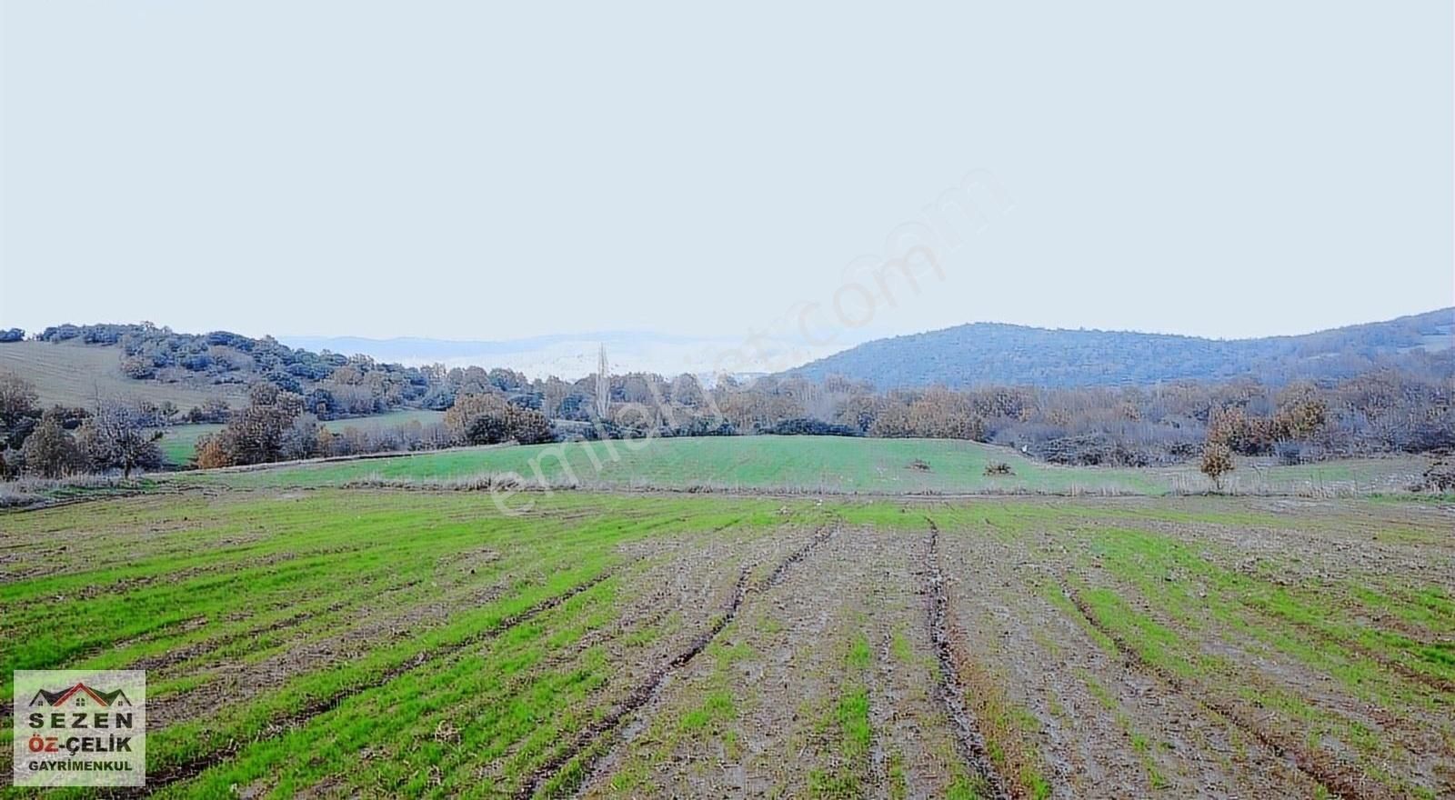 Lapseki Beypınar Köyü Satılık Tarla Beypınar Köyü Satılık Arazi