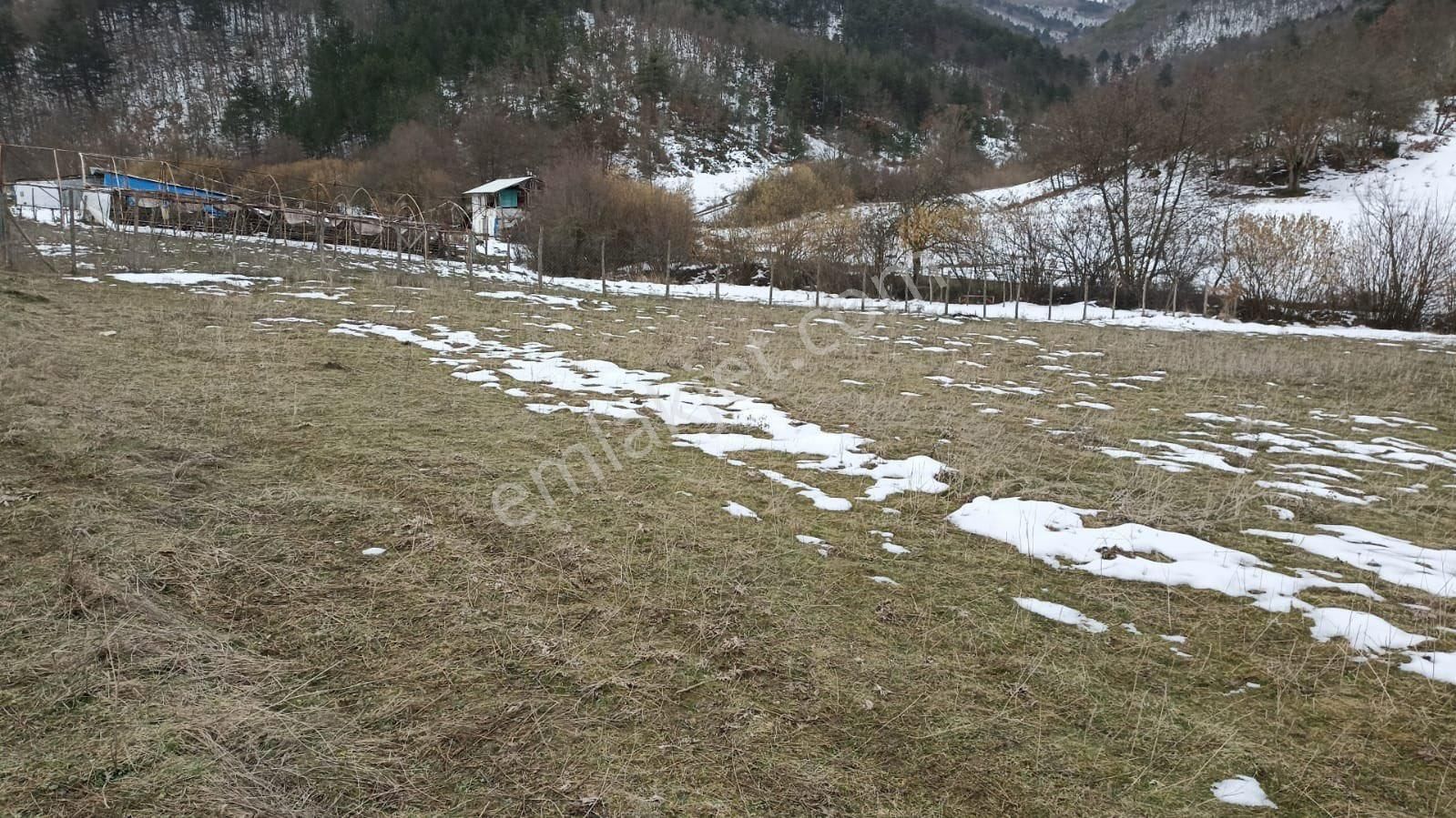 Gemlik Fındıcak Satılık Tarla Gemlik Fındıcak Mahallesi Satılık Yola Cephe Tek Tapu Arazi