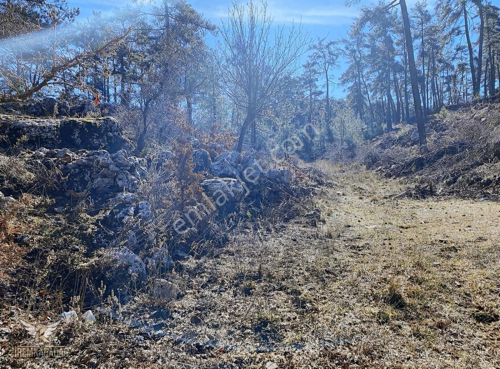 Menteşe Kıran Satılık Tarla Muğla Kıran'da 490 M2 Resmi Kadastral Yolu Bulunan Satılık Tarla