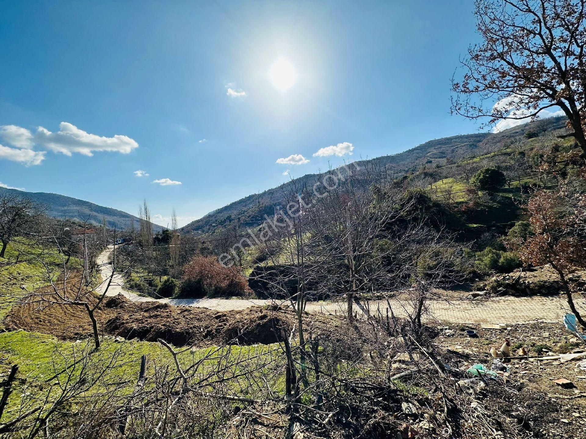 Mor Çiçek Emlak Tire Yamandere Satılık Kargir Ev Ve 2adet Dam - Görsel 7