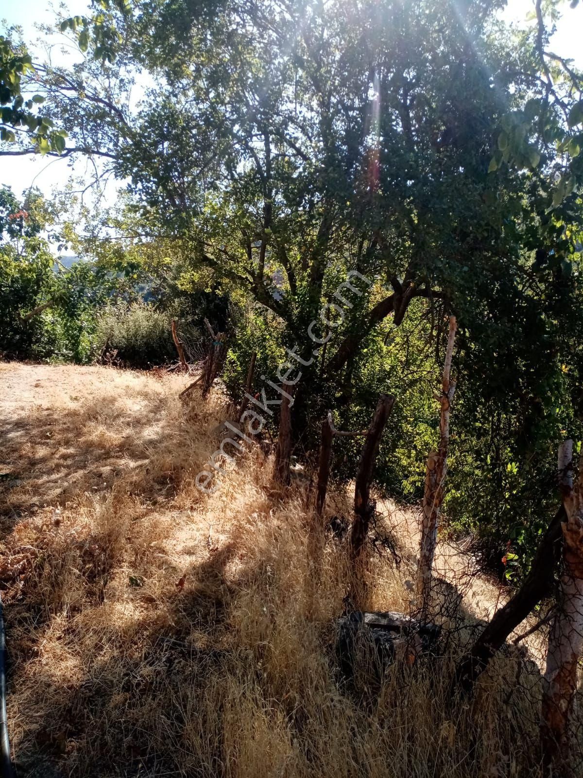 Mor Çiçek Emlak Tire Yamandere Satılık Kargir Ev Ve 2adet Dam - Görsel 34