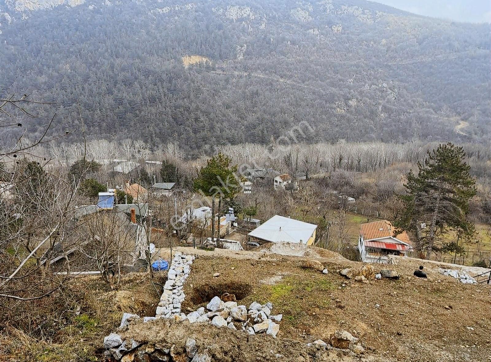 Kestel Saitabat Satılık Tarla Hd'den Manzaralı Satılık Hobi Bahçesi