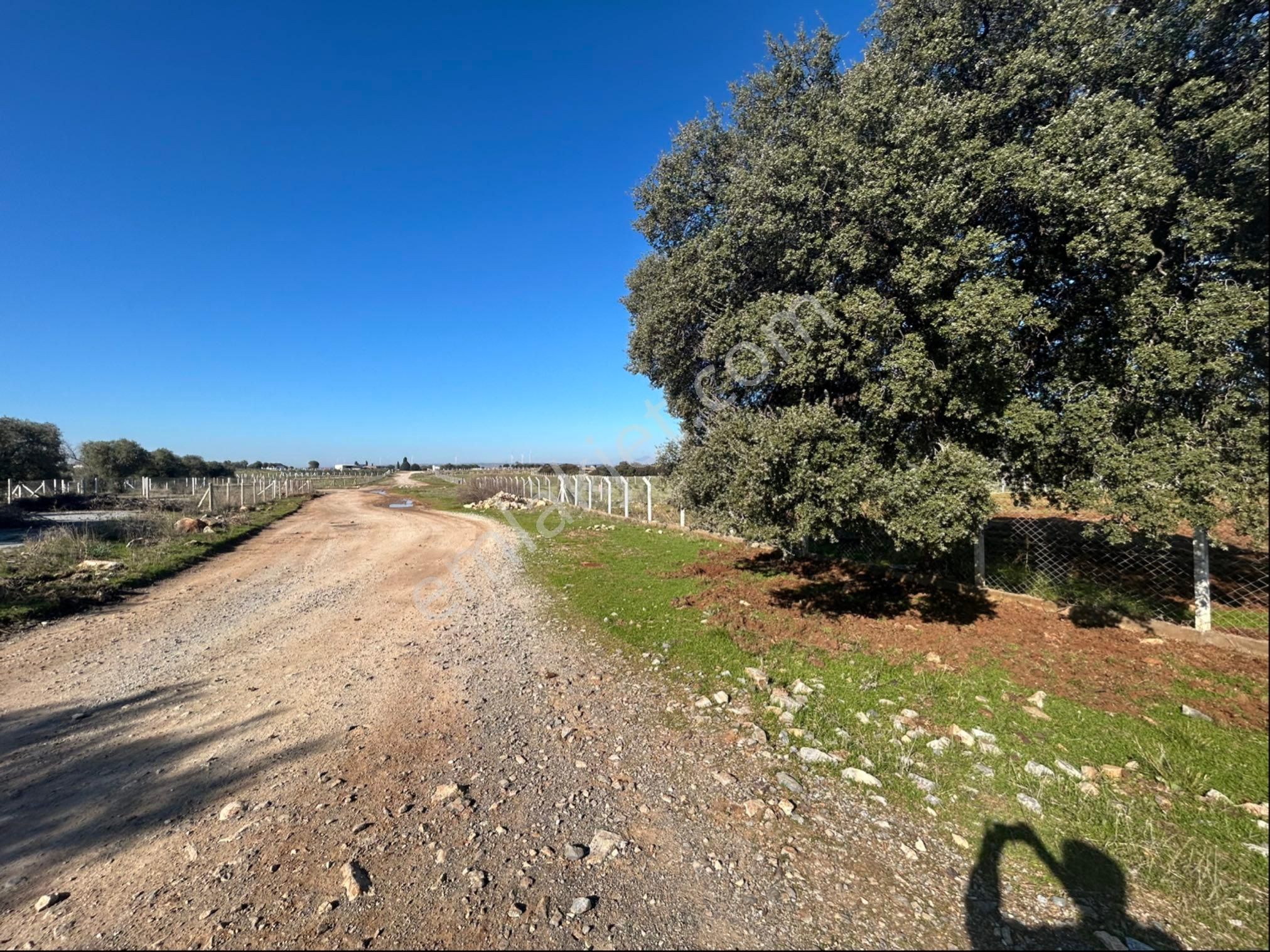 Didim Akyeniköyde 5 Dönüm Tarla - Görsel 7