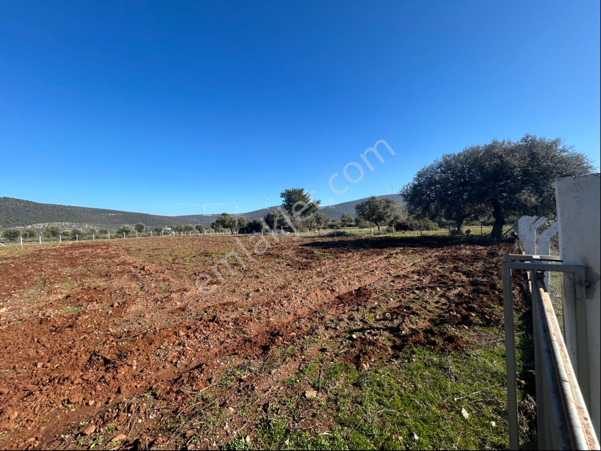 Didim Akyeniköyde 5 Dönüm Tarla - Görsel 5