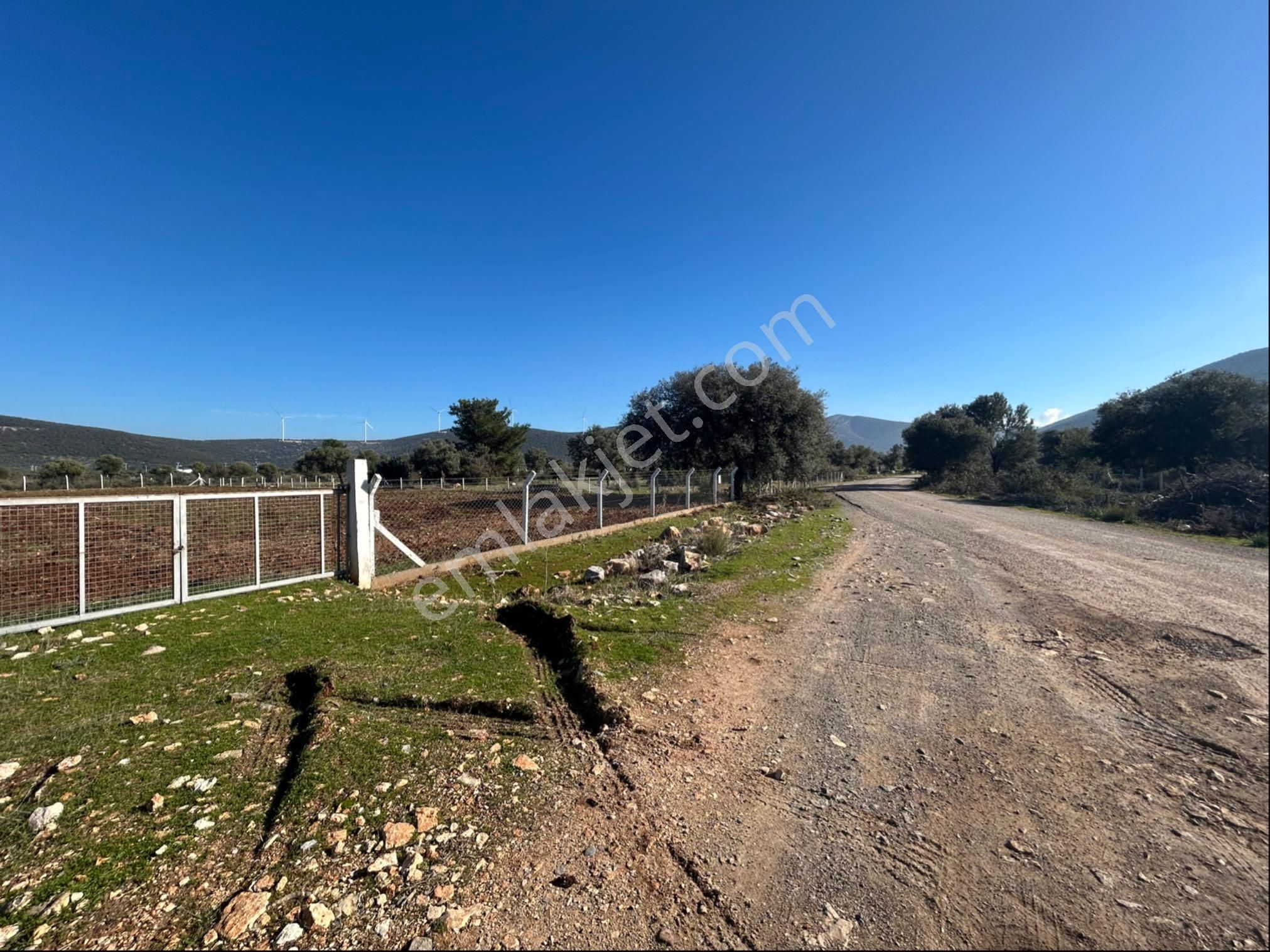 Didim Akyeniköyde 5 Dönüm Tarla - Görsel 6