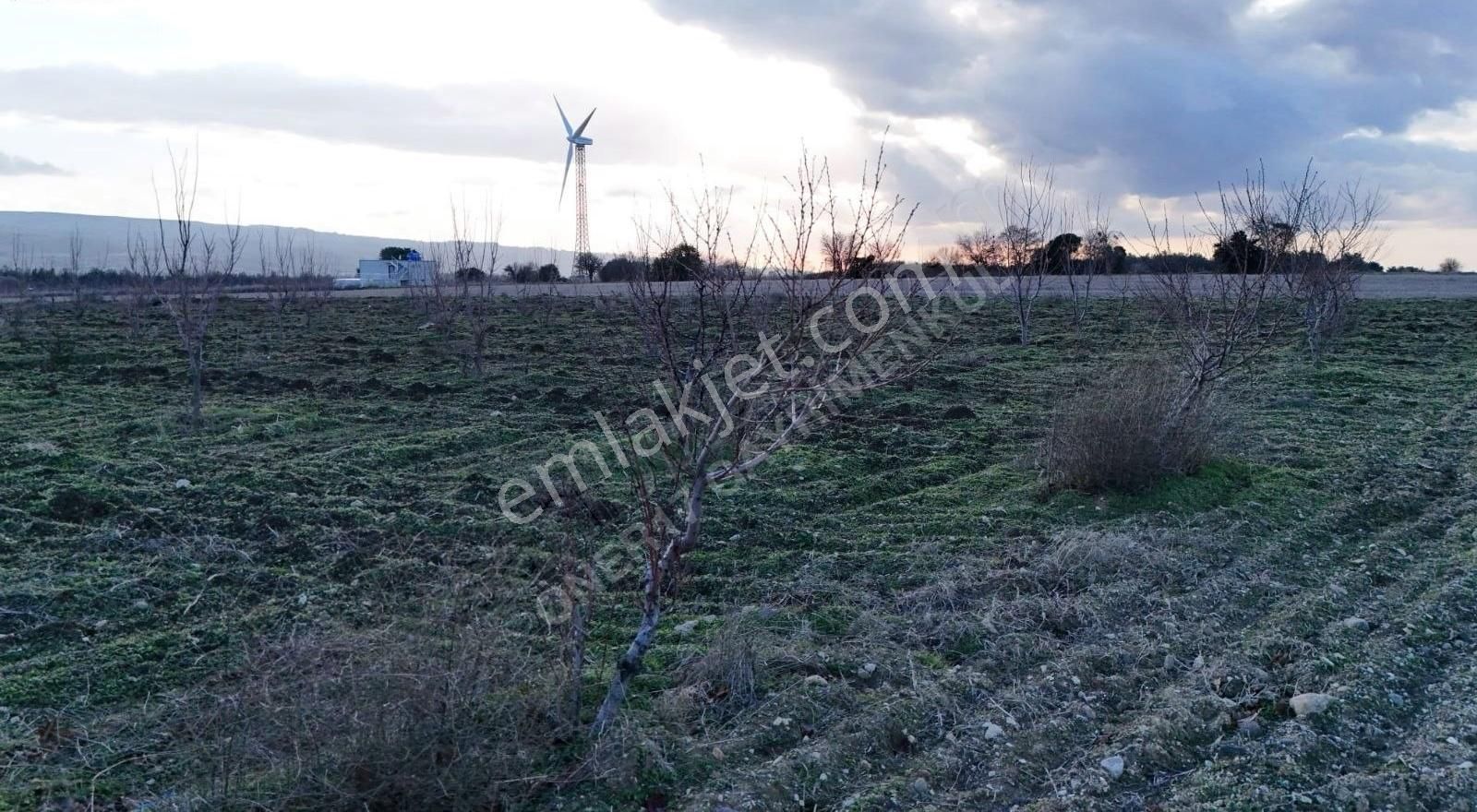 Lapseki Umurbey Bld. (Umurbey Merkez) Satılık Tarla Çanakkale Lapseki Umurbey Beldesi Satılık Arazi