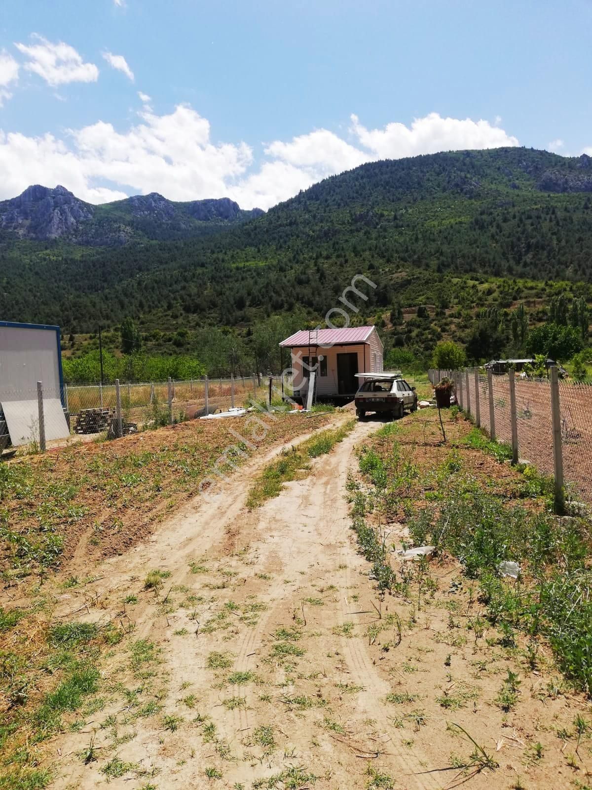 A-105 İnhisar Çayköy Satılık Çiftlik - Görsel 7