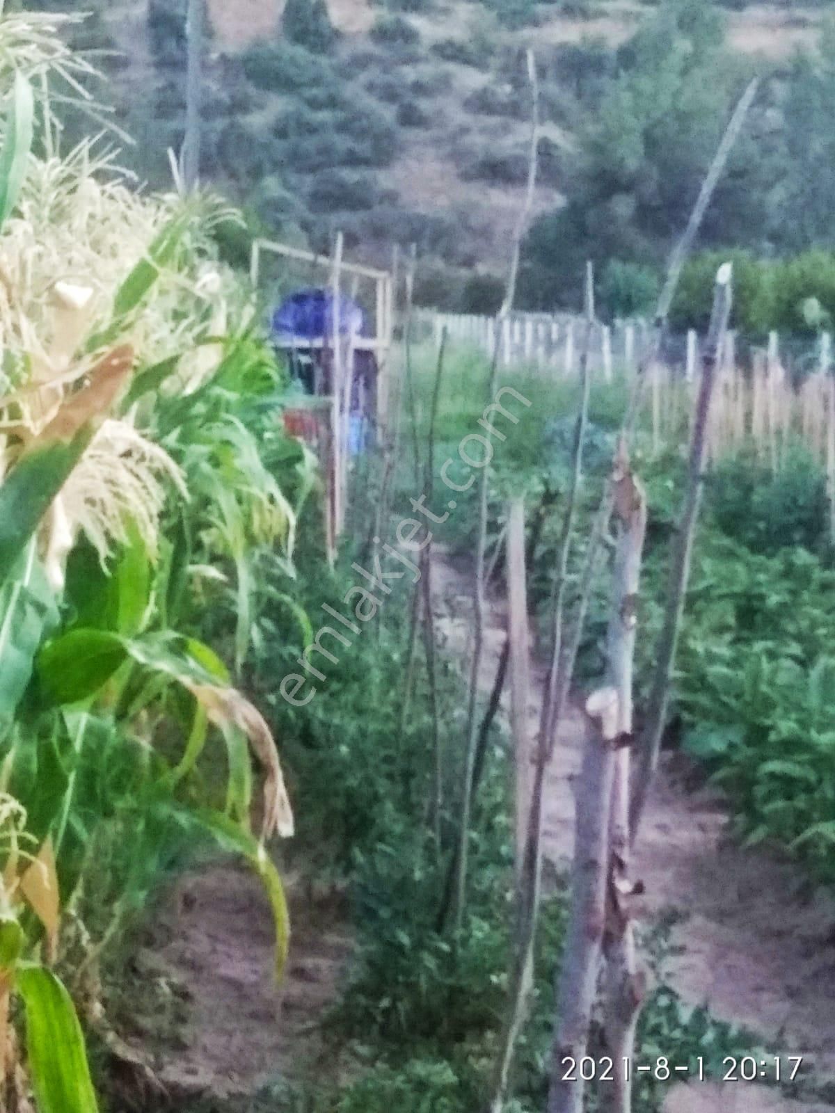 A-105 İnhisar Çayköy Satılık Çiftlik - Görsel 5