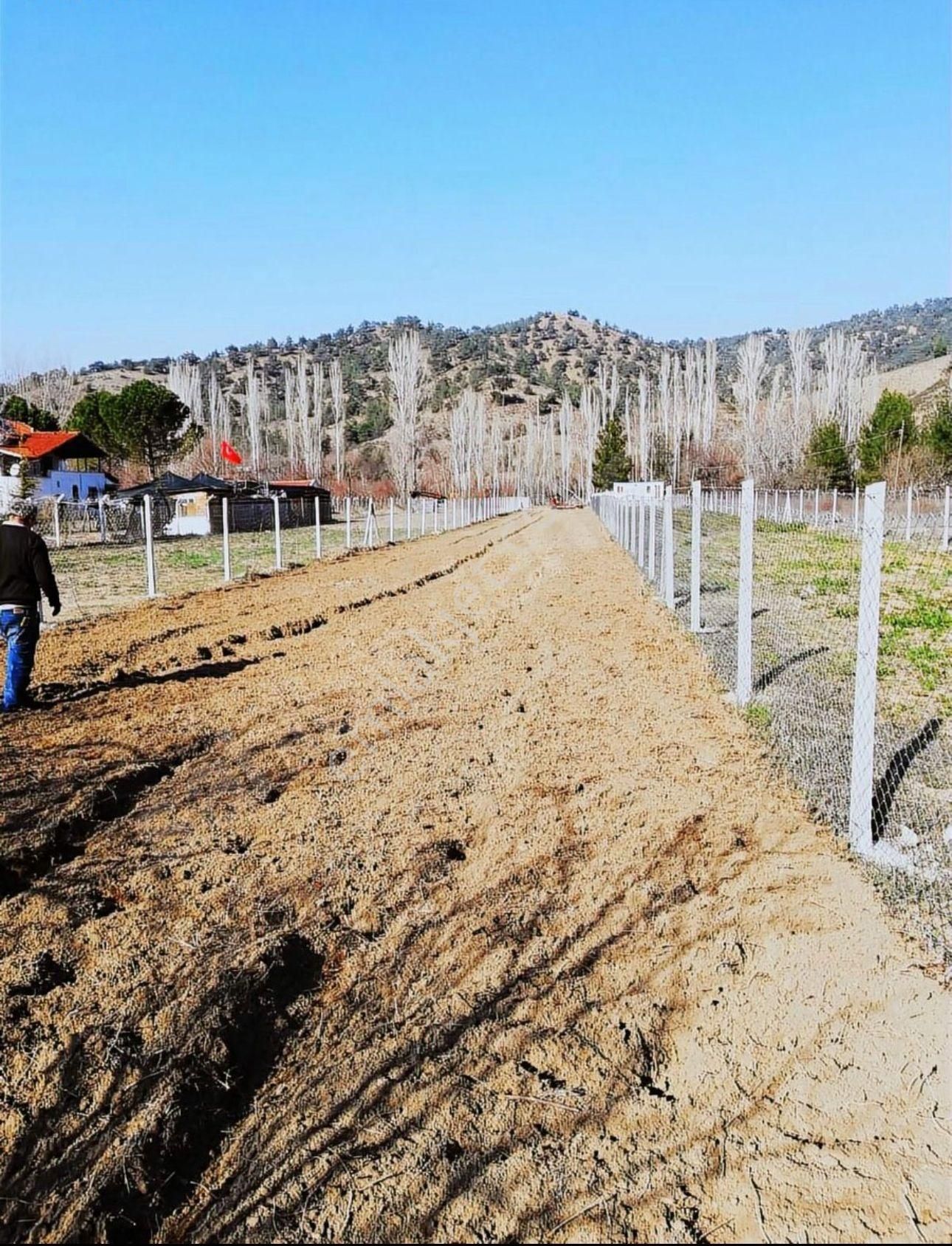 A-105 İnhisar Çayköy Satılık Çiftlik - Görsel 12