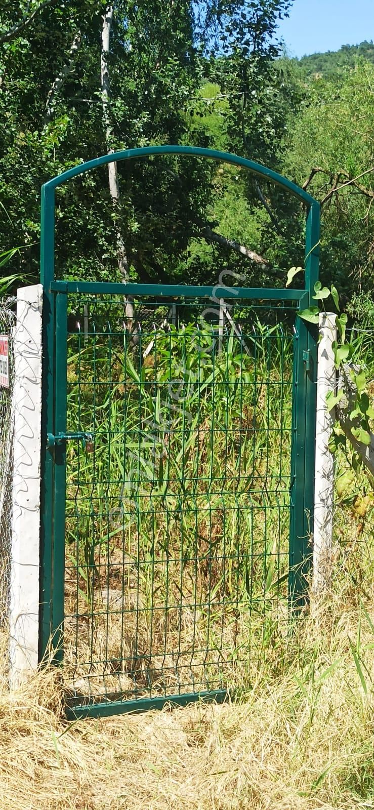 A-105 İnhisar Çayköy Satılık Çiftlik - Görsel 6