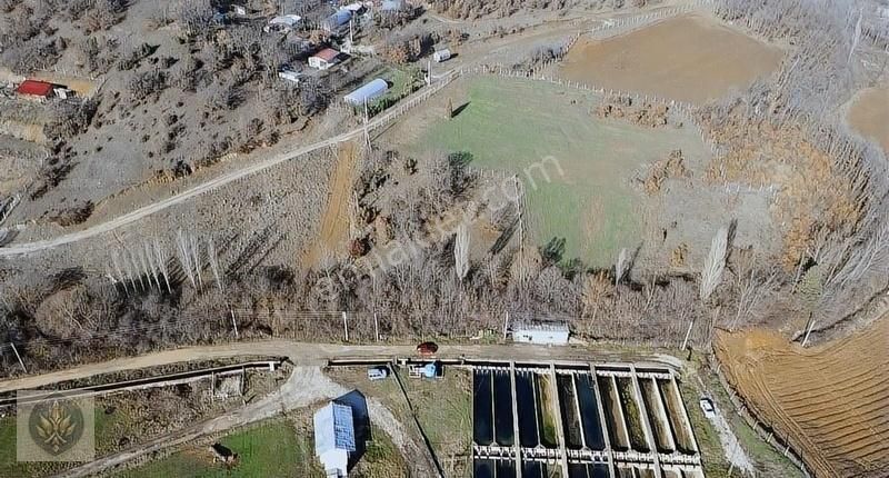 Bozüyük Kapanalan Köyü Satılık Bağ & Bahçe Bozüyük Karasu Karafırın Arkası 2 Dönüm Hobi Bahçemiz