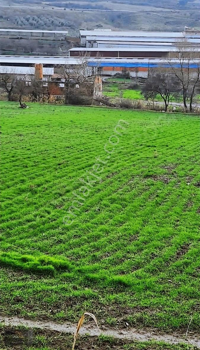 Bigadiç 4 Eylül Satılık Tarla Bigadiç 4 Eylül Mah.de Çevreyoluna Cepheli Süper Satılık Tarla