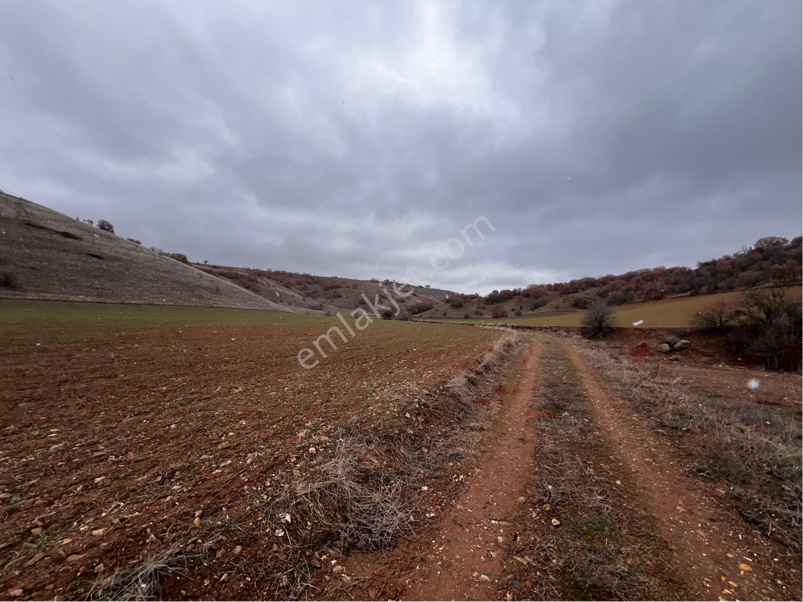 Altındağ Peçenek Satılık Tarla Peçenek’te 300m2 Tapulu Bahçe Fırsattt