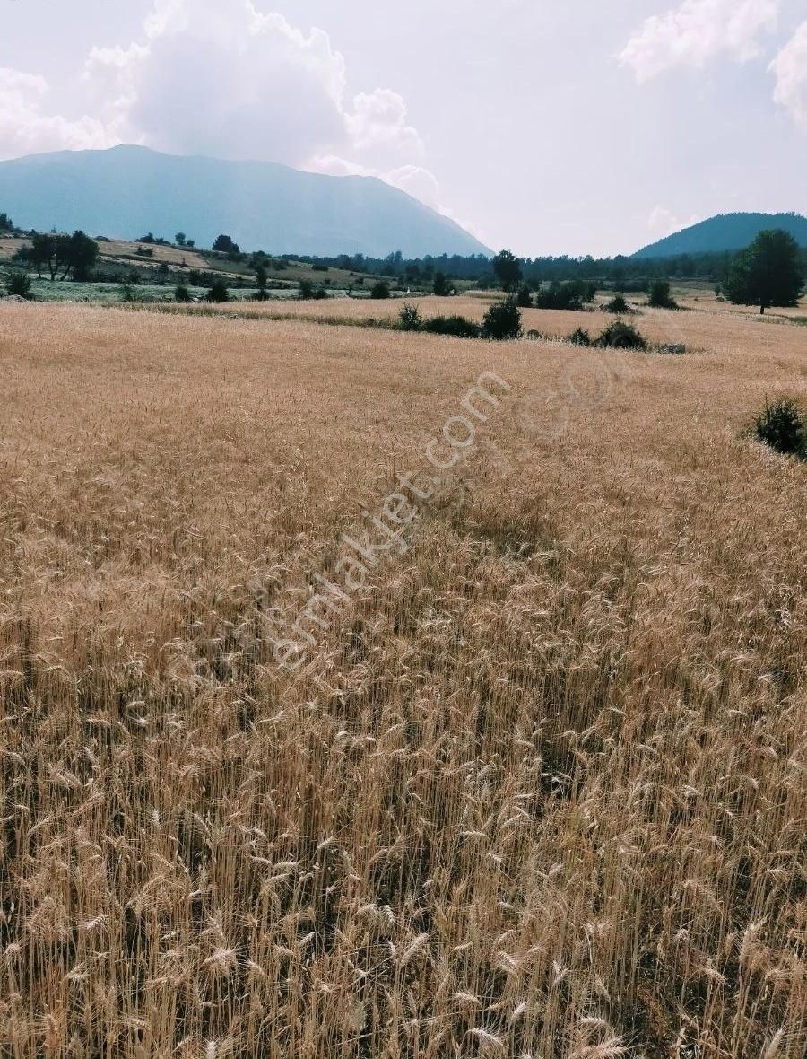 Elmalı Ahatlı Satılık Tarla Antalya Elmalı Ahatlı Bölgesinde Yatırım Fırsatı