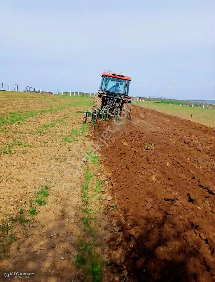 Tepebaşı Bozdağ Satılık Tarla !!!bozdağ'da 14 Dönüm Fırsat Tarla!!!