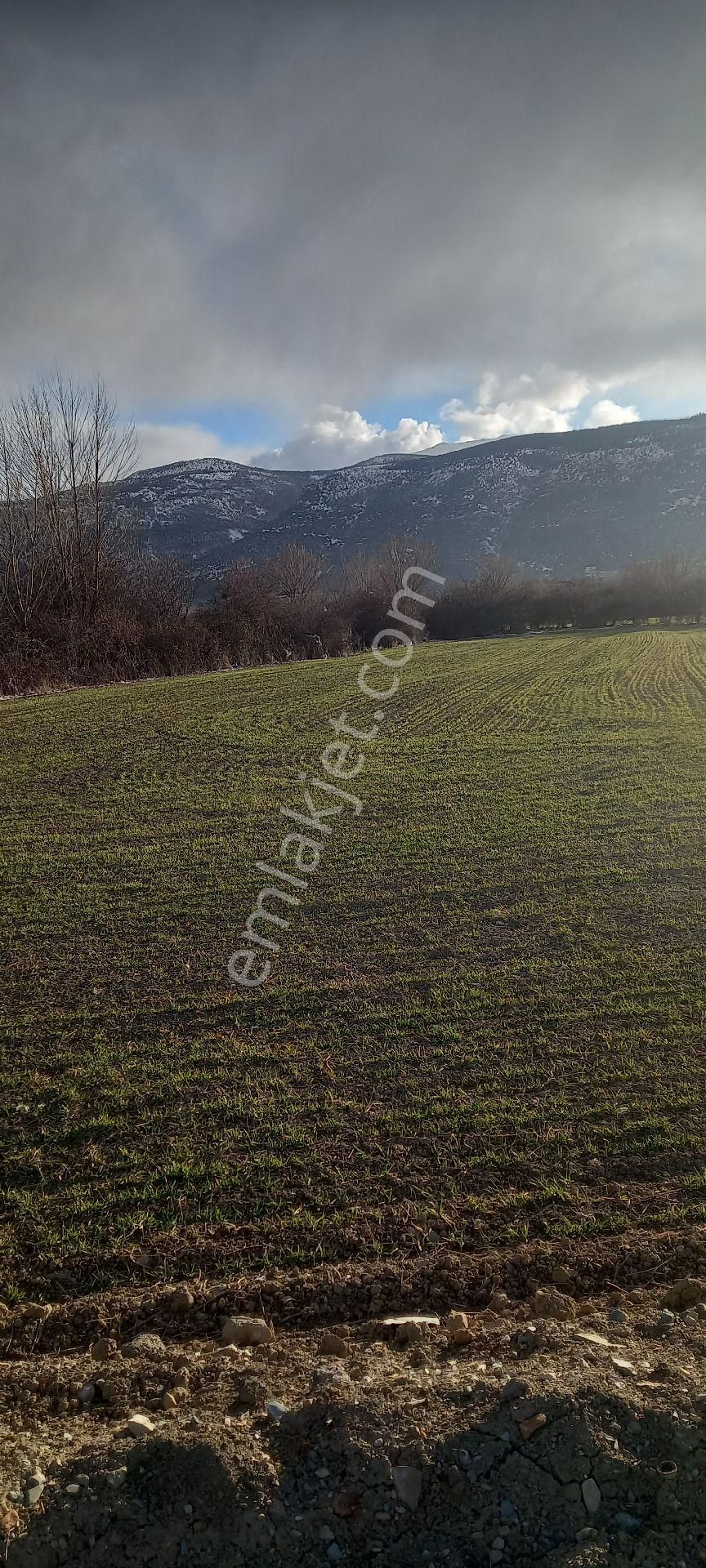 Akşehir Doğrugöz Satılık Sanayi İmarlı Hayal Emlak'tan Sanayi İmarlı Arsa