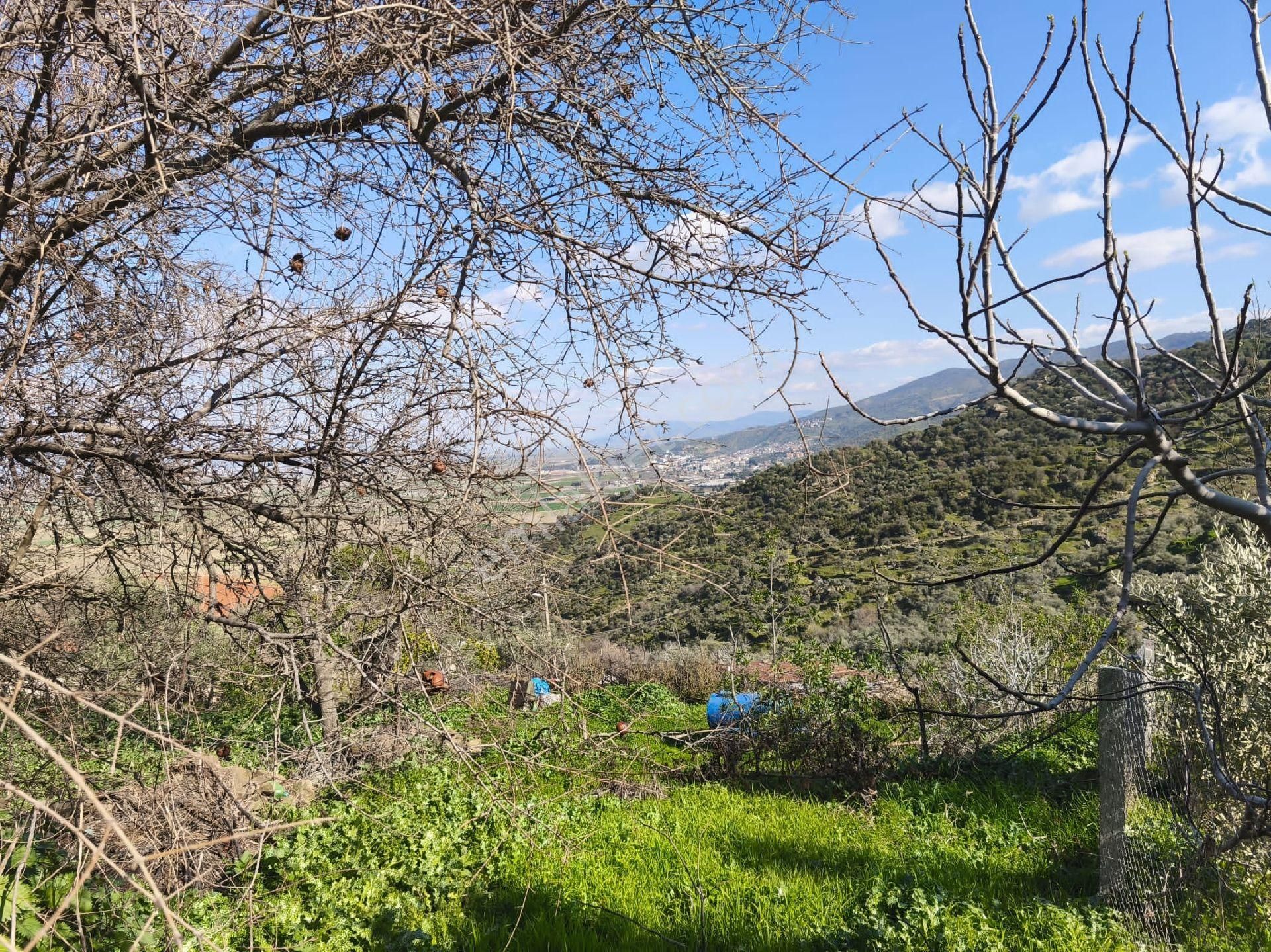 Koçarlı Dedeköy Satılık Konut İmarlı Aydın Koçarlı Dedeköy Mahalesi'nde İçinde Eski Evi Olan Satılık 500 M2 Arsa