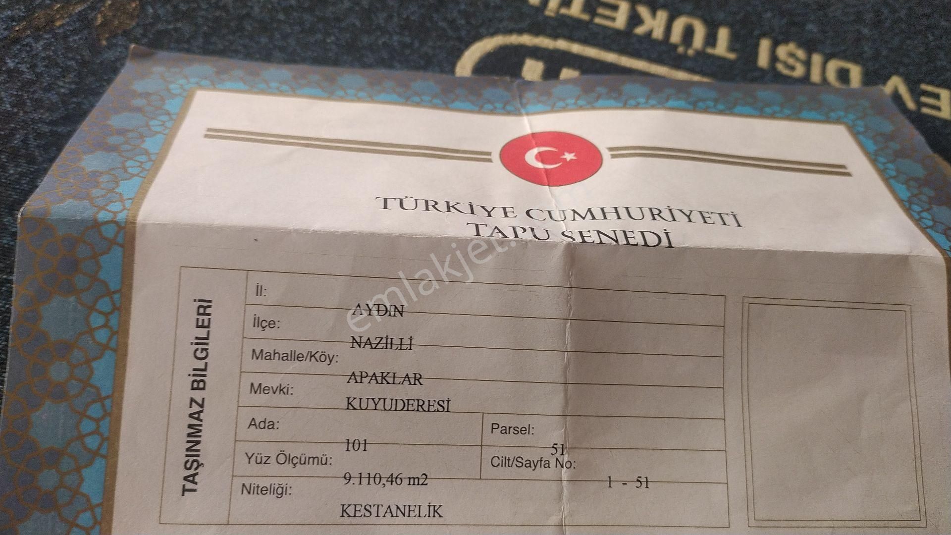 Nazilli Apaklar Satılık Bağ & Bahçe Daire Takaslı Kestanelik