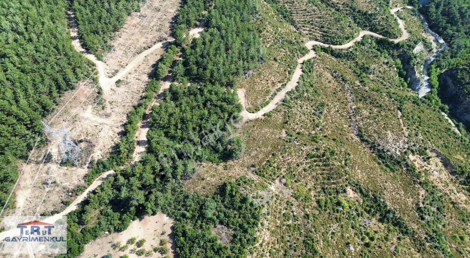 Yunusemre Karakoca Satılık Tarla Manisa Karakoca'da Satılık 19 Dönüm Kiraz Ceviz Badem Bahçesi